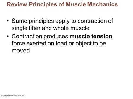 Review Principles of Muscle Mechanics