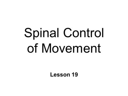 Spinal Control of Movement