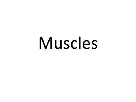 Muscles.