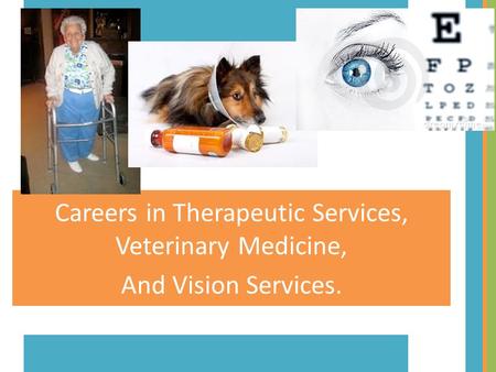 Careers in Therapeutic Services, Veterinary Medicine,