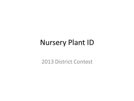 Nursery Plant ID 2013 District Contest. Arbor Vitae.