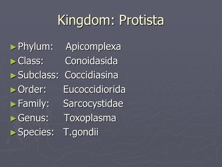 Kingdom: Protista ► Phylum: Apicomplexa ► Class: Conoidasida ► Subclass: Coccidiasina ► Order: Eucoccidiorida ► Family: Sarcocystidae ► Genus: Toxoplasma.