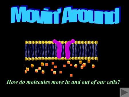 How do molecules move in and out of our cells?. Introduction You will be: Reviewing Cell Basics if needed. Learning about diffusion. Learning about osmosis.