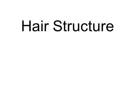 Hair Structure. Cuticle – Human Hair Cuticle – Oragutan hair.