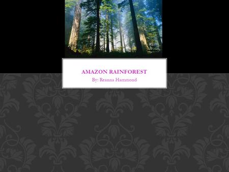 By: Reanna Hammond. An average of 50 - 260 inches of rain falls a year. No snow falls in the amazon rainforest AMOUNT OF RAINFALL/SNOWFALL PER YEAR.