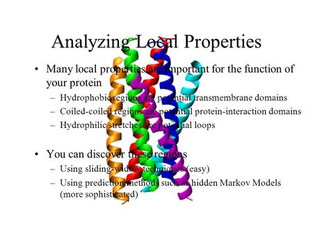 Analyzing Local Properties Many local properties are important for the function of your protein –Hydrophobic regions are potential transmembrane domains.