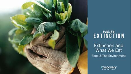 Extinction and What We Eat