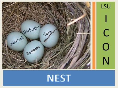 ICONICON Support Team LSU. >>> Offer Superior PERFORMANCE >>> Provide Needed SERVICES ● Provide Personnel ● Subject Recruitment ● Informed Consenting.