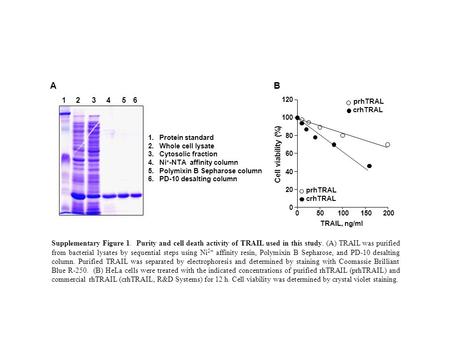 1.Protein standard 2.Whole cell lysate 3.Cytosolic fraction 4.Ni + -NTA affinity column 5.Polymixin B Sepharose column 6.PD-10 desalting column 123456.