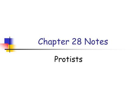 Chapter 28 Notes Protists.