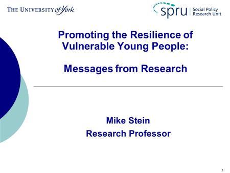 1 Promoting the Resilience of Vulnerable Young People: Messages from Research Mike Stein Research Professor.