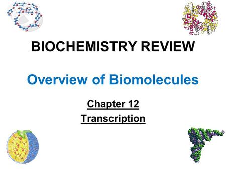 BIOCHEMISTRY REVIEW Overview of Biomolecules Chapter 12 Transcription.