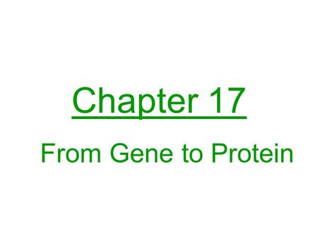 Chapter 17 From Gene to Protein.