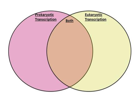 Prokaryotic Transcription Eukaryotic Transcription Both.