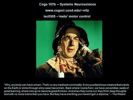 Cogs 107b – Systems Neuroscience www.cogsci.ucsd.edu/~nitz lec0305 –’meta’ motor control “Why, anybody can have a brain. That's a very mediocre commodity.