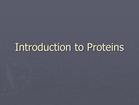 Introduction to Proteins