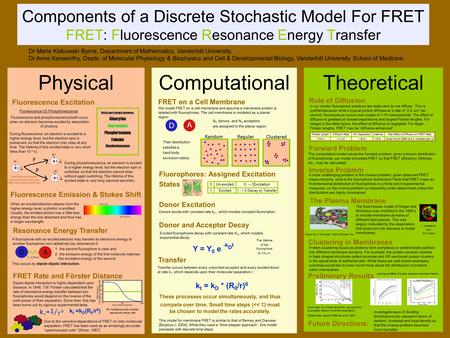 Physical Fluorescence Excitation Dr Maria Kiskowski Byrne, Department of Mathematics, Vanderbilt University. Dr Anne Kenworthy, Depts. of Molecular Physiology.