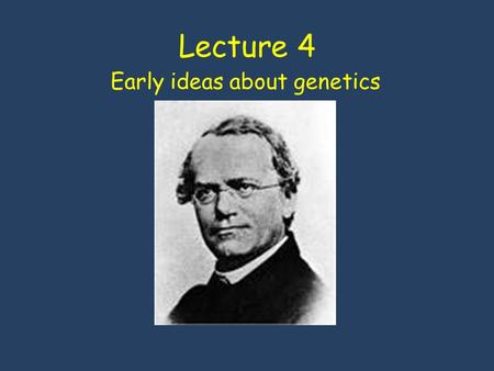 Lecture 4 Early ideas about genetics. Constancy of species Direct transmission of traits Blending Theory of Inheritance Parents hereditary material blends.