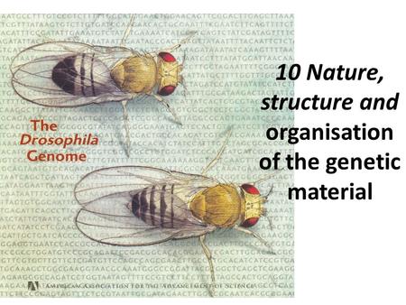 10 Nature, structure and organisation of the genetic material.