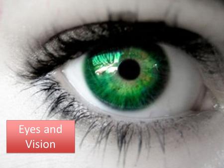 Eyes and Vision. Review: List ways vision helps us.