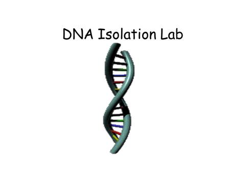 DNA Isolation Lab.