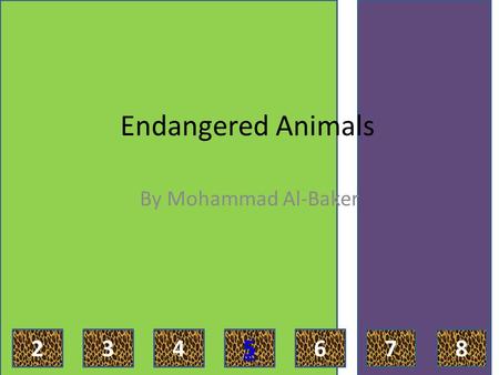 Endangered Animals By Mohammad Al-Baker 2 3 4 5 6 7 8.