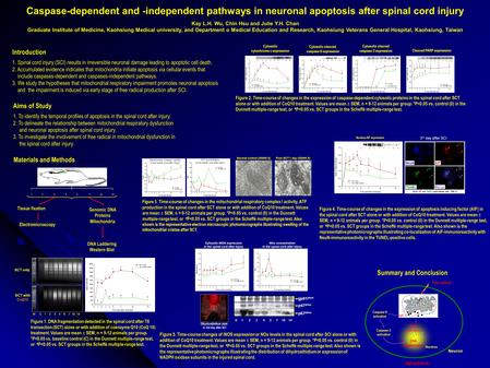 Caspase-dependent and -independent pathways in neuronal apoptosis after spinal cord injury Kay L.H. Wu, Chin Hsu and Julie Y.H. Chan Graduate Institute.