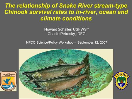 The relationship of Snake River stream-type Chinook survival rates to in-river, ocean and climate conditions Howard Schaller, USFWS * Charlie Petrosky,