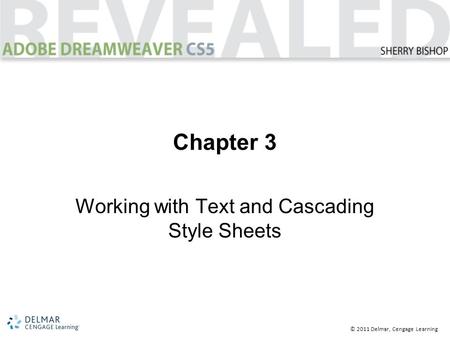 © 2011 Delmar, Cengage Learning Chapter 3 Working with Text and Cascading Style Sheets.