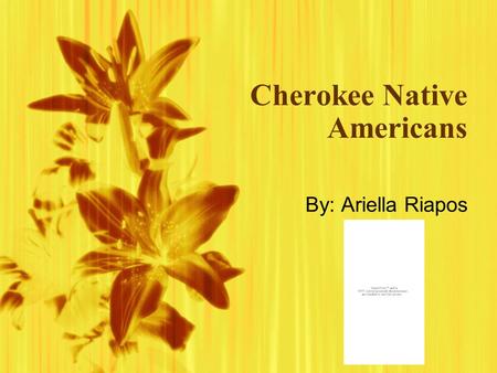 Cherokee Native Americans