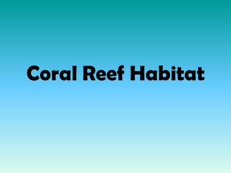 Coral Reef Habitat. Reef Zones of the Coral Reef Habitat Reef Lagoon Beach Beaches are found along the shores of all Hawaiian islands. Most of Hawaii’s.