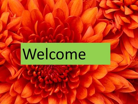 Welcome. Teacher Introducing Najmunnaher Asst: Teacher Chandpara High School Class:Six Subject:English1st.