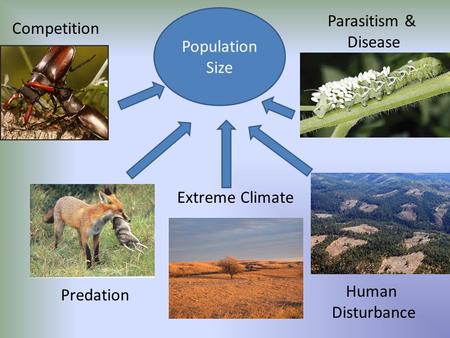 Population Size Parasitism & Disease Competition Extreme Climate Human