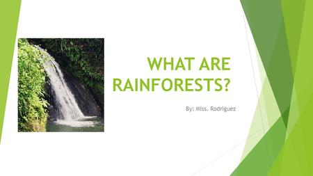 WHAT ARE RAINFORESTS? By: Miss. Rodriguez.