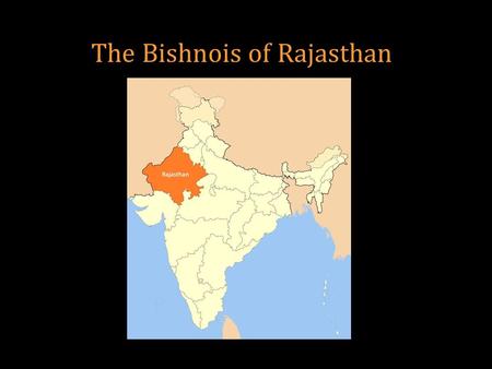 The Bishnois of Rajasthan