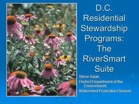 D.C. Residential Stewardship Programs: The RiverSmart Suite Steve Saari, District Department of the Environment, Watershed Protection Division.