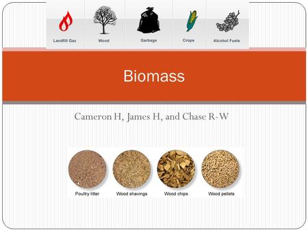 Cameron H, James H, and Chase R-W Biomass. Biomass is… A form of living energy, such as Wheat Corn Crops Wood Etc It is a renewable resource that uses.