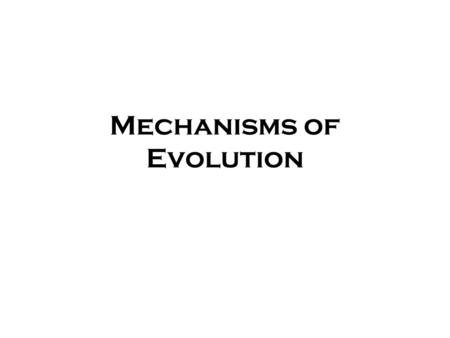 Mechanisms of Evolution. Macroevolution Speciation.