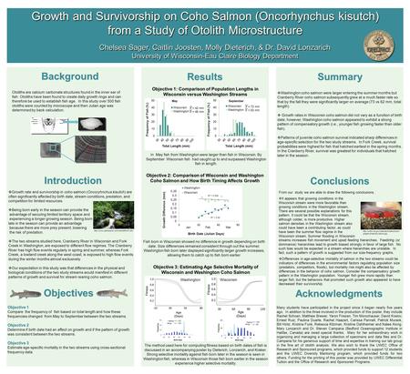 Background Chelsea Sager, Caitlin Joosten, Molly Dieterich, & Dr. David Lonzarich University of Wisconsin-Eau Claire Biology Department Chelsea Sager,