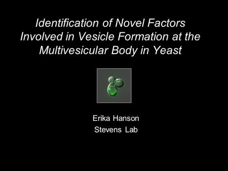 Identification of Novel Factors Involved in Vesicle Formation at the Multivesicular Body in Yeast Erika Hanson Stevens Lab.