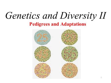 Pedigrees and Adaptations