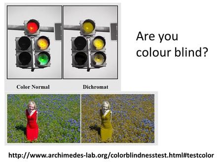 Are you colour blind?