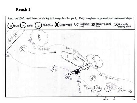 Reach 1. Reach 2 Reach 3 Reach 4 Benchmark levels: Undesireable Desireable More Than Less Than Goals/Benchmarks: 30% Pools Riffles present.