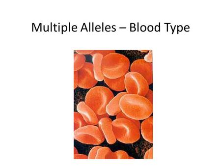 Multiple Alleles – Blood Type