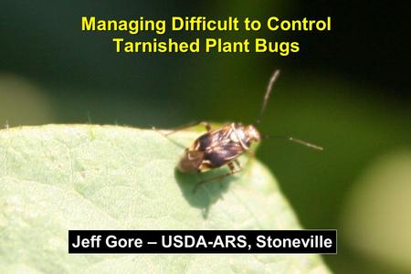 Managing Difficult to Control Tarnished Plant Bugs Jeff Gore – USDA-ARS, Stoneville.