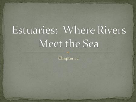 Estuaries: Where Rivers Meet the Sea