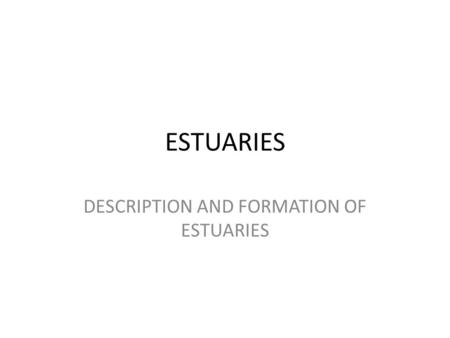 ESTUARIES DESCRIPTION AND FORMATION OF ESTUARIES.