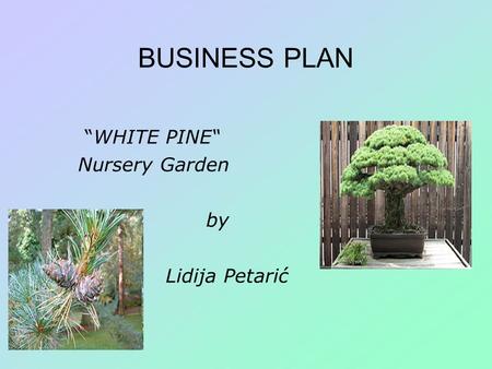 BUSINESS PLAN “WHITE PINE“ Nursery Garden by Lidija Petarić.