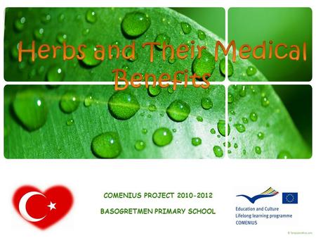 COMENIUS PROJECT 2010-2012 BASOGRETMEN PRIMARY SCHOOL.