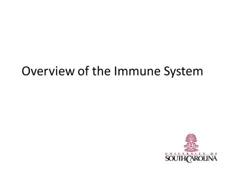 Overview of the Immune System